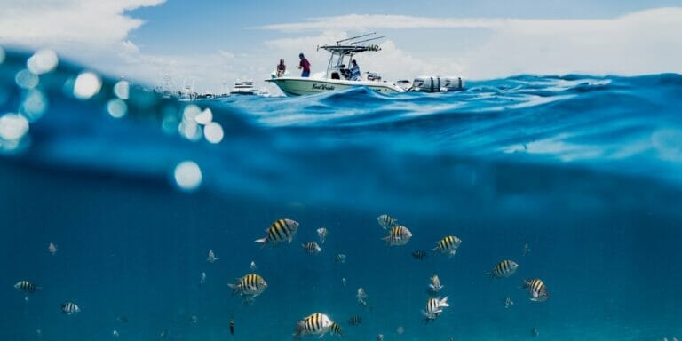 over and under water shot of fish and a fishing boat